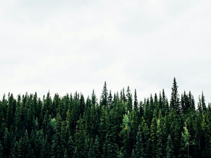 Terre & Nature